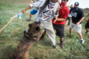 A private security firm released dogs on Dakota people outraged that an area just determined to be a burial site was being uprooted.